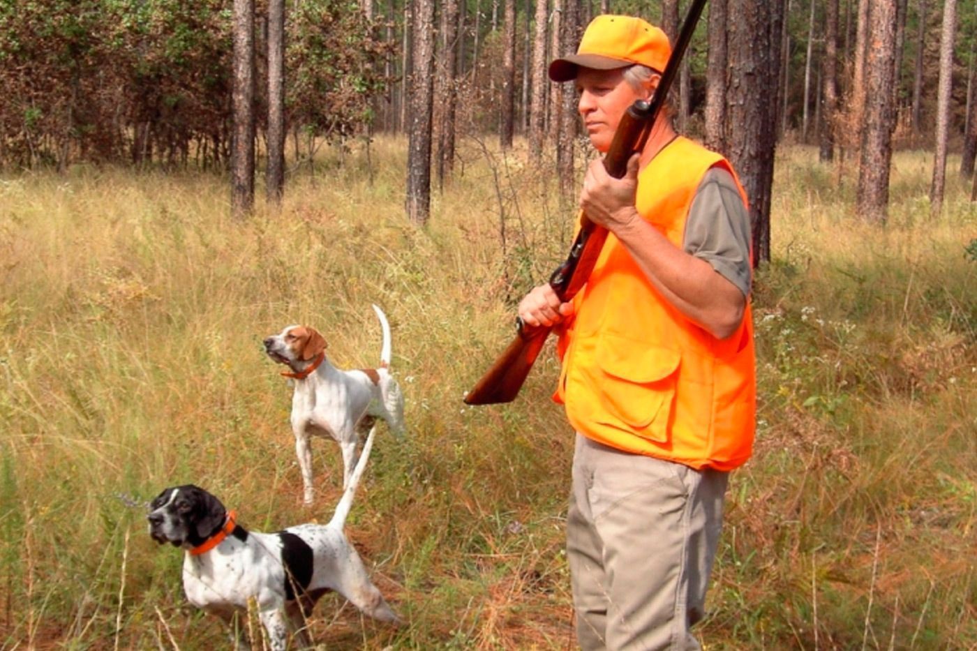 Iniciarse en la Caza