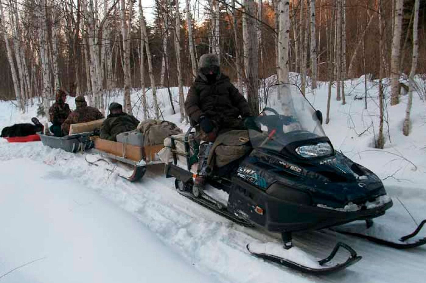 Técnicas y equipo para cazar en el Círculo Polar