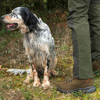 Chiruca Sequoia 01 Chiruca Sequoia 01