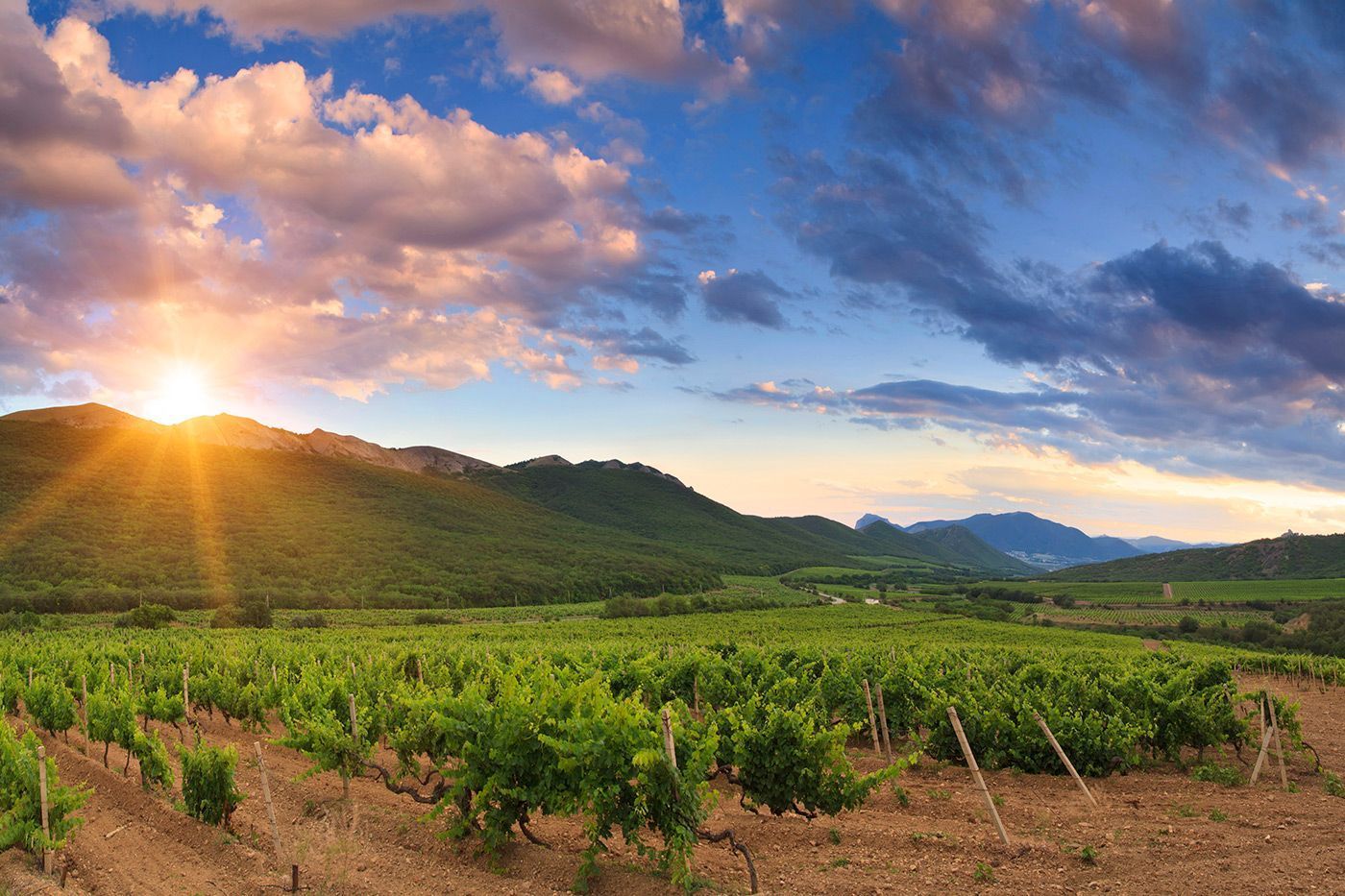 Las características de la caza en La Rioja