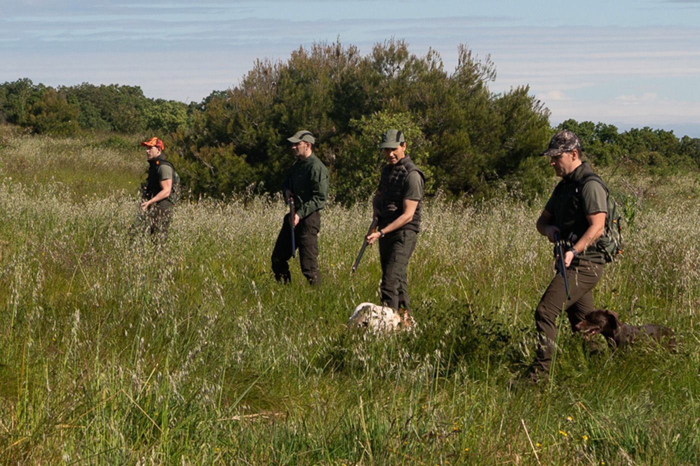 La caza en Castilla y León
