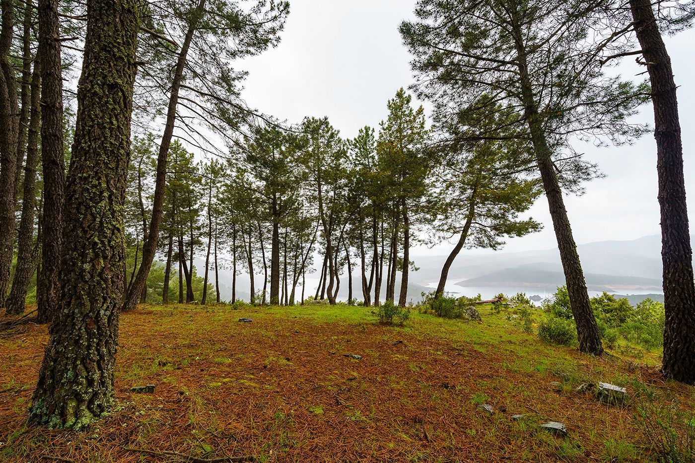 La caza en la Comunidad de Madrid