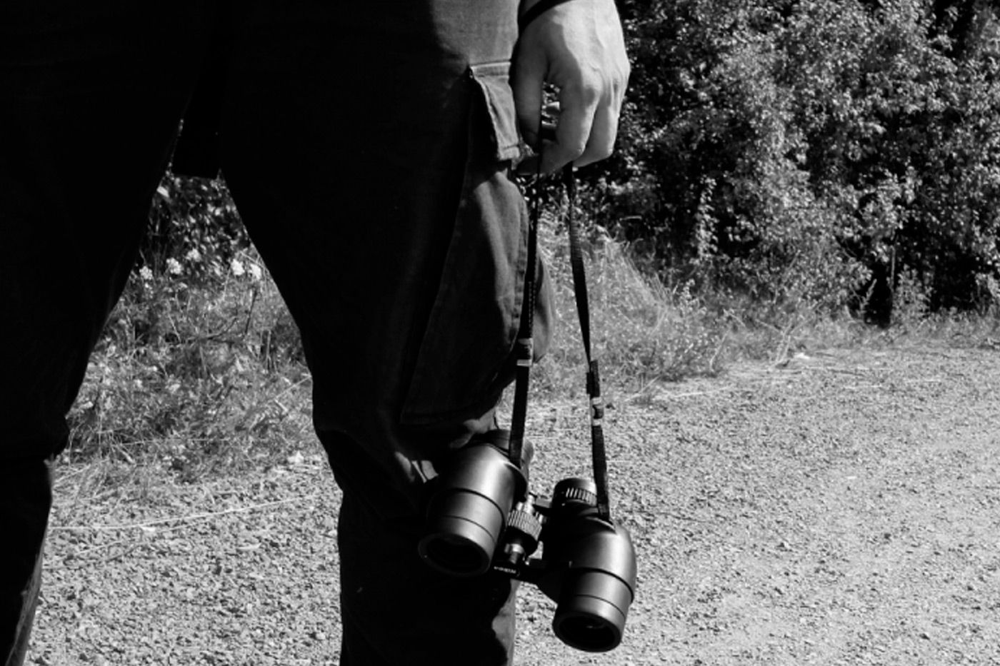 La relevancia de los agentes forestales en España