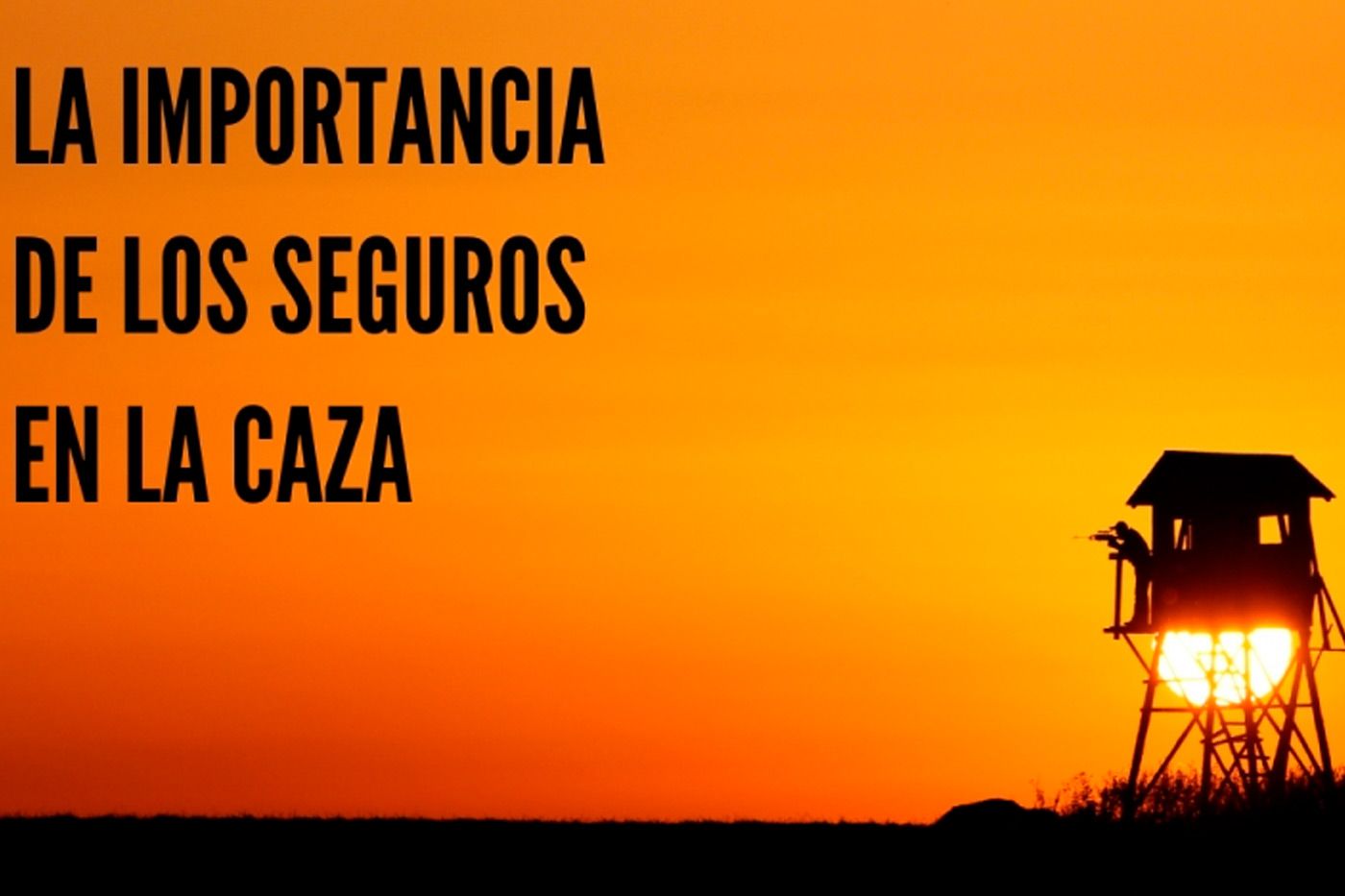 Seguros obligatorios y aconsejables en la caza