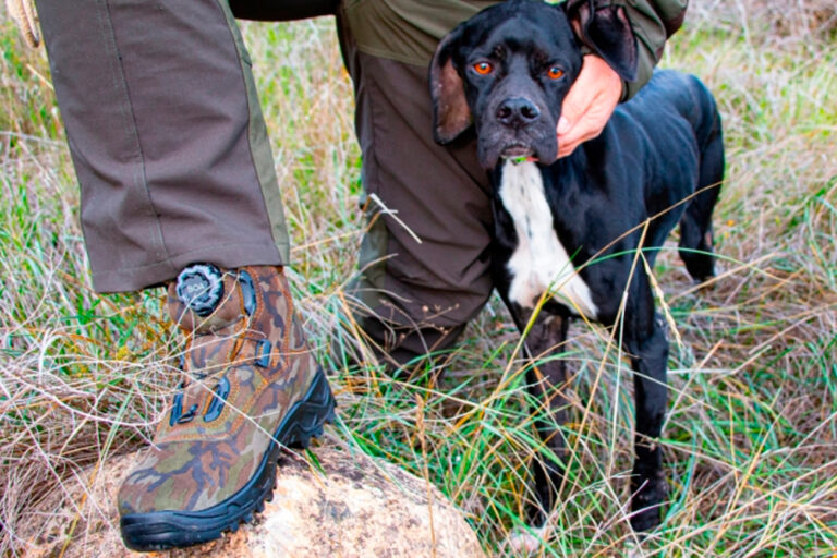 El pointer como perro de caza