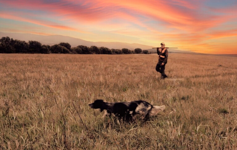Caza nocturna: normativa, seguridad y ética (lo que debes tener claro antes de salir)