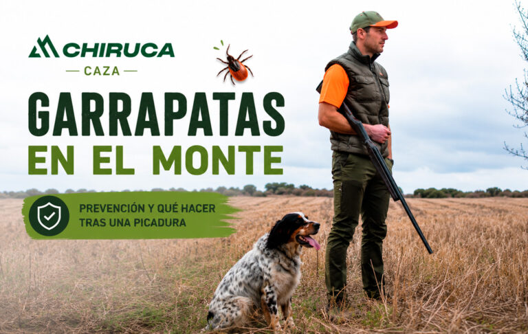 Garrapatas en el monte: prevención y qué hacer tras una picadura en cazadores y perros